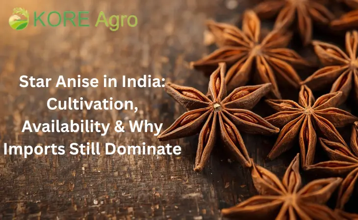 Star Anise in India